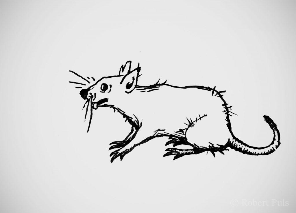 Ratte Illustration